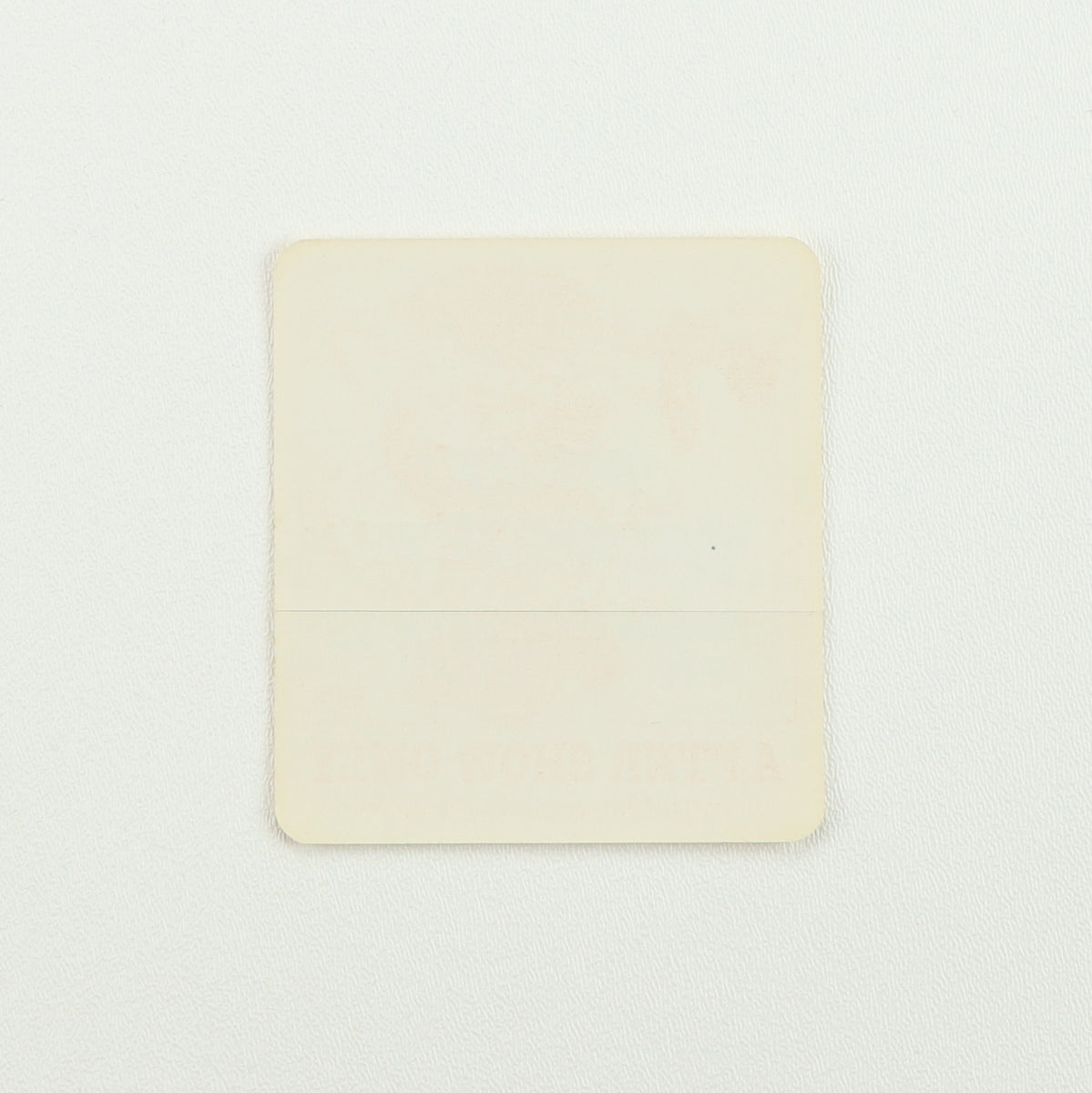 1981 Bruce Springsteen Summer Tour Aftershow Backstage Pass