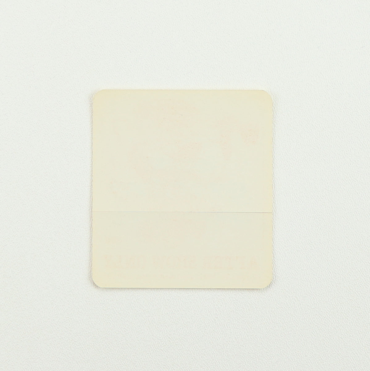 1981 Bruce Springsteen Summer Tour Aftershow Backstage Pass