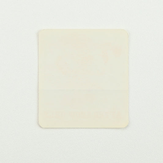 1981 Bruce Springsteen Summer Tour Aftershow Backstage Pass