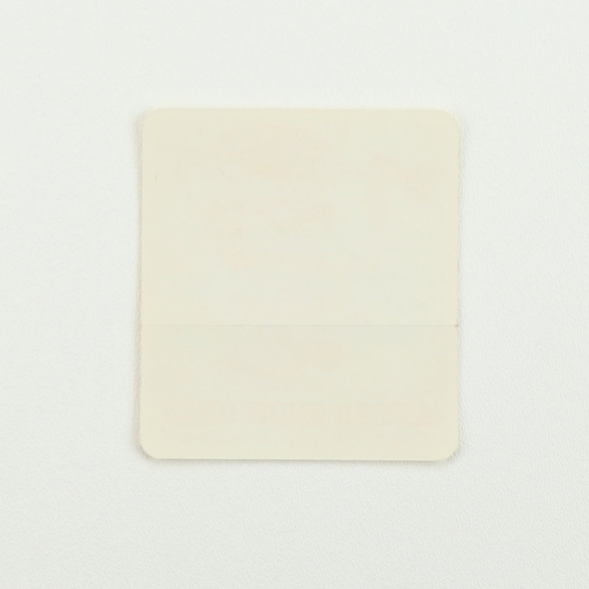 1981 Bruce Springsteen Summer Tour Aftershow Backstage Pass