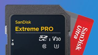 A SanDisk SD card next to a microSD card on a blue background