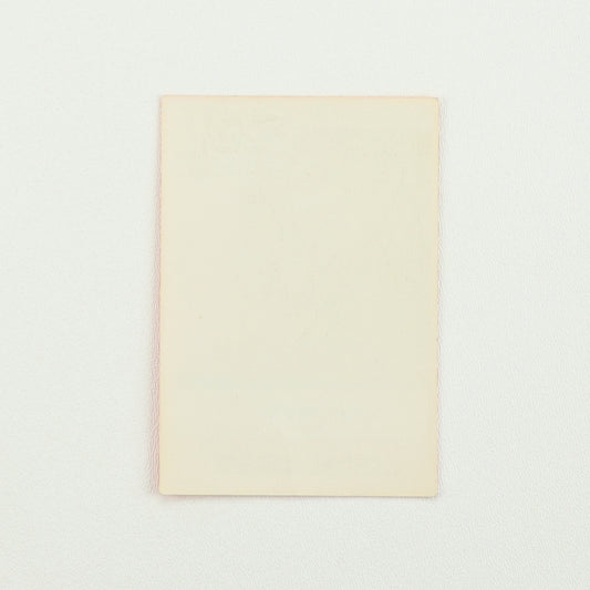 1986 Ozzy Osbourne The Ultimate Sin Tour Local Crew Backstage Pass